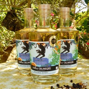 VIEUX GIN D’HIVER - LONDON DRY - 44%