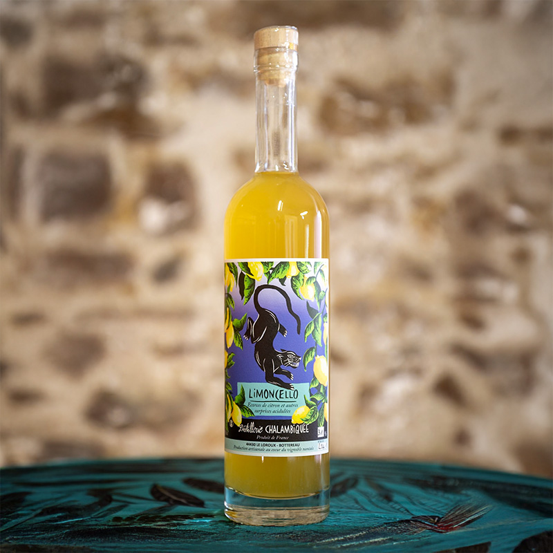 LIMON’CHA  – 31%