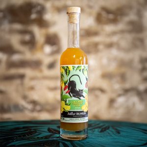 SIROP GINGEMBRE-CITRON - spécialité sans alcool